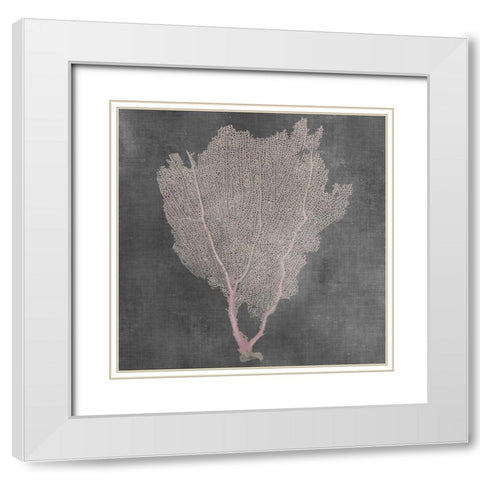 Natural Sea Fan I White Modern Wood Framed Art Print with Double Matting by Vision Studio