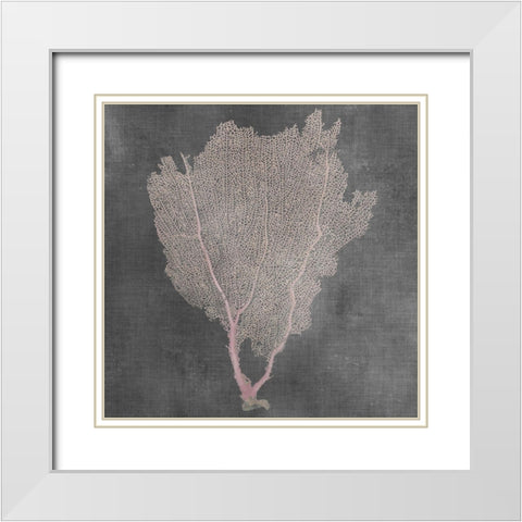 Natural Sea Fan I White Modern Wood Framed Art Print with Double Matting by Vision Studio