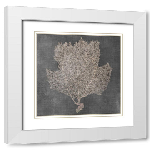 Natural Sea Fan III White Modern Wood Framed Art Print with Double Matting by Vision Studio