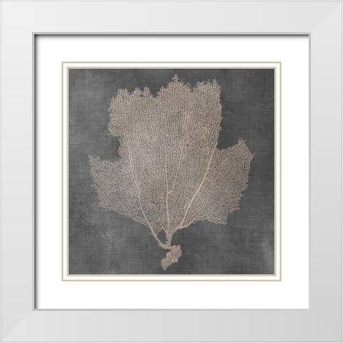 Natural Sea Fan III White Modern Wood Framed Art Print with Double Matting by Vision Studio