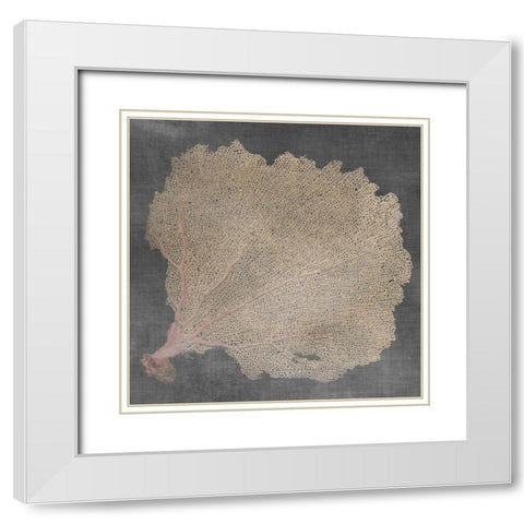 Natural Sea Fan V White Modern Wood Framed Art Print with Double Matting by Vision Studio