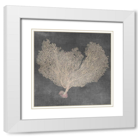 Natural Sea Fan VI White Modern Wood Framed Art Print with Double Matting by Vision Studio