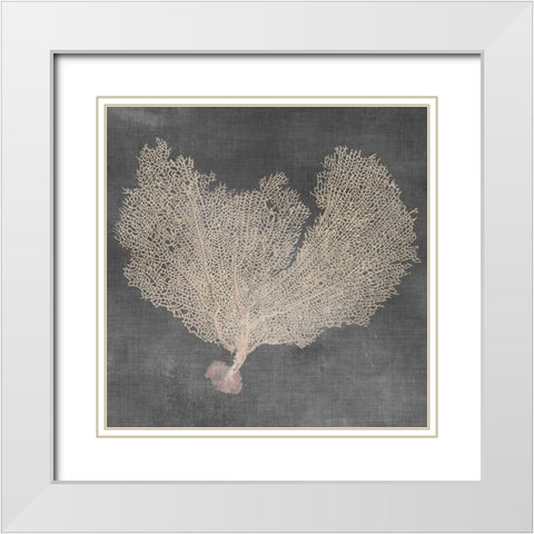 Natural Sea Fan VI White Modern Wood Framed Art Print with Double Matting by Vision Studio