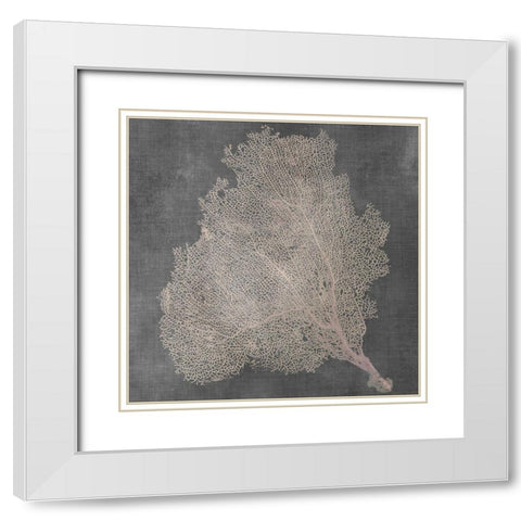 Natural Sea Fan VII White Modern Wood Framed Art Print with Double Matting by Vision Studio