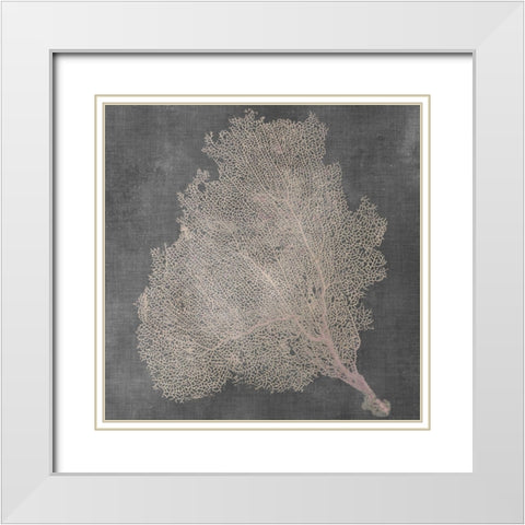 Natural Sea Fan VII White Modern Wood Framed Art Print with Double Matting by Vision Studio