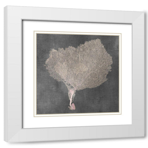 Natural Sea Fan VIII White Modern Wood Framed Art Print with Double Matting by Vision Studio