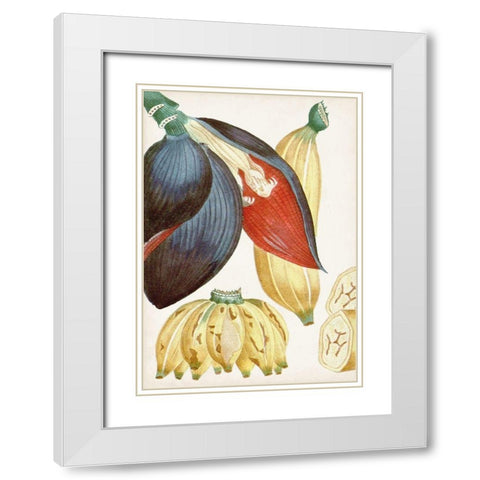 Turpin Tropical Fruit VII White Modern Wood Framed Art Print with Double Matting by Turpin
