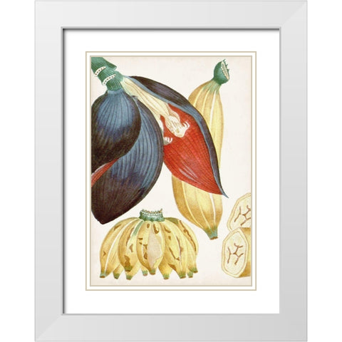 Turpin Tropical Fruit VII White Modern Wood Framed Art Print with Double Matting by Turpin