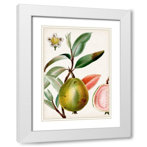 Turpin Tropical Fruit IX White Modern Wood Framed Art Print with Double Matting by Turpin