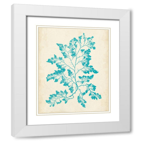 Aquamarine Seaweed I White Modern Wood Framed Art Print with Double Matting by Vision Studio