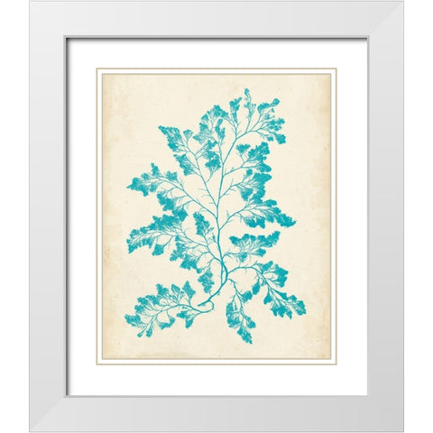 Aquamarine Seaweed I White Modern Wood Framed Art Print with Double Matting by Vision Studio