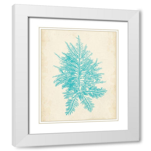 Aquamarine Seaweed III White Modern Wood Framed Art Print with Double Matting by Vision Studio