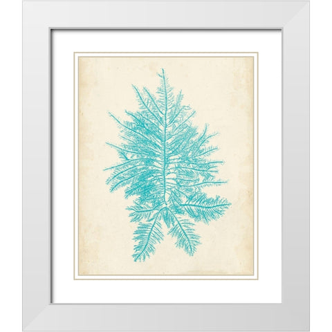 Aquamarine Seaweed III White Modern Wood Framed Art Print with Double Matting by Vision Studio