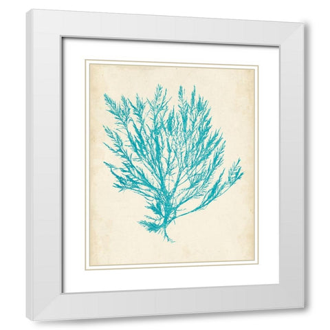 Aquamarine Seaweed IV White Modern Wood Framed Art Print with Double Matting by Vision Studio