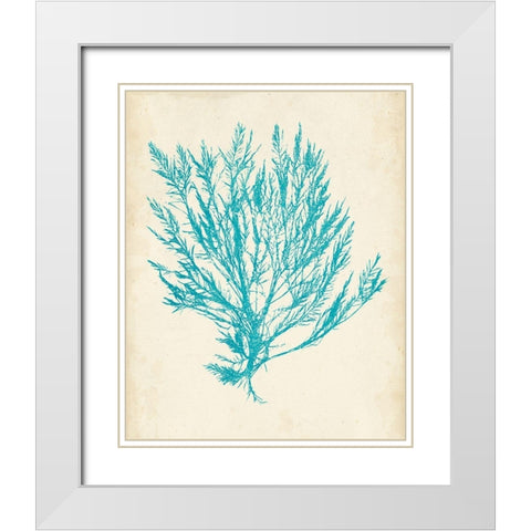 Aquamarine Seaweed IV White Modern Wood Framed Art Print with Double Matting by Vision Studio