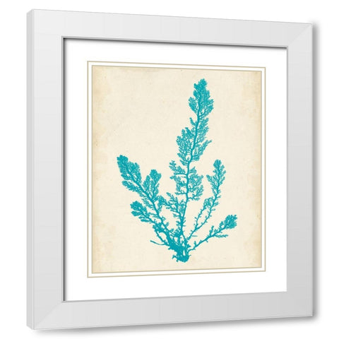 Aquamarine Seaweed VI White Modern Wood Framed Art Print with Double Matting by Vision Studio