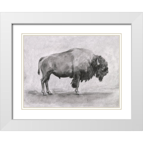 Wild Bison Study I White Modern Wood Framed Art Print with Double Matting by Scarvey, Emma