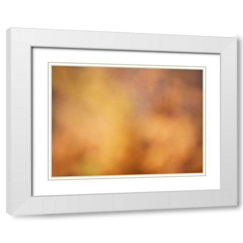 Soft Landscape V White Modern Wood Framed Art Print with Double Matting by McLoughlin, James