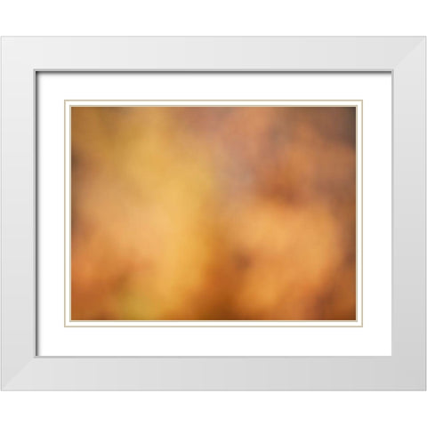 Soft Landscape V White Modern Wood Framed Art Print with Double Matting by McLoughlin, James