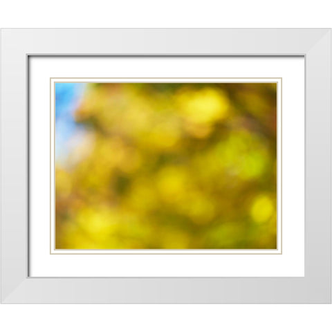 Soft Landscape VI White Modern Wood Framed Art Print with Double Matting by McLoughlin, James