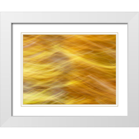 Soft Landscape VII White Modern Wood Framed Art Print with Double Matting by McLoughlin, James
