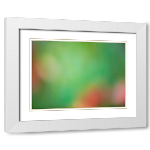 Soft Landscape VIII White Modern Wood Framed Art Print with Double Matting by McLoughlin, James
