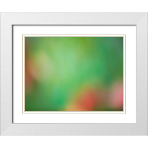 Soft Landscape VIII White Modern Wood Framed Art Print with Double Matting by McLoughlin, James