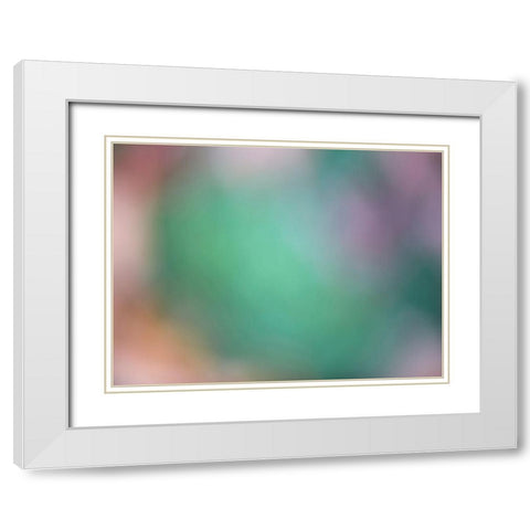 Soft Landscape IX White Modern Wood Framed Art Print with Double Matting by McLoughlin, James