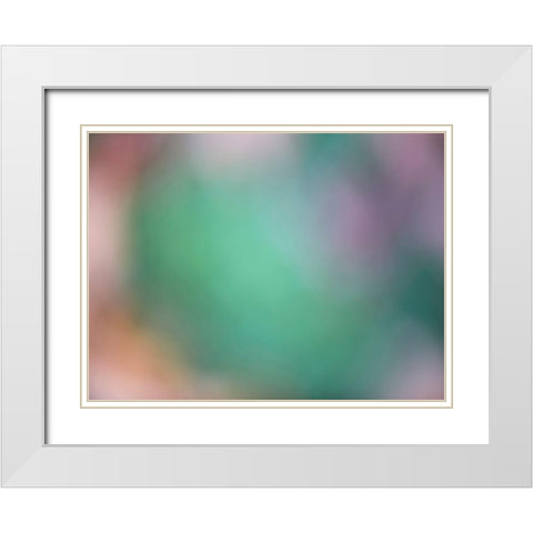 Soft Landscape IX White Modern Wood Framed Art Print with Double Matting by McLoughlin, James