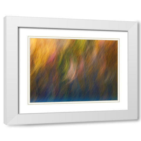 Soft Landscape X White Modern Wood Framed Art Print with Double Matting by McLoughlin, James