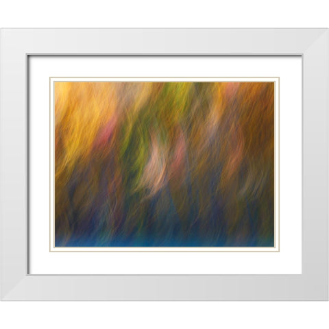 Soft Landscape X White Modern Wood Framed Art Print with Double Matting by McLoughlin, James