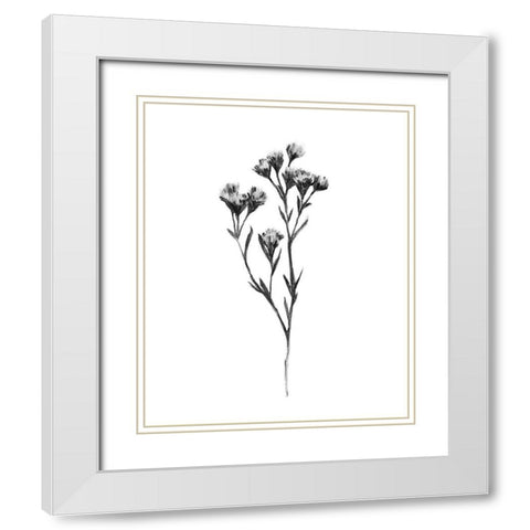 Wild Thistle II White Modern Wood Framed Art Print with Double Matting by Scarvey, Emma