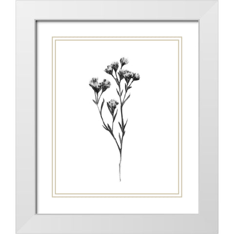 Wild Thistle II White Modern Wood Framed Art Print with Double Matting by Scarvey, Emma