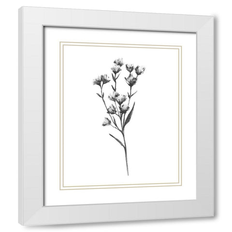 Wild Thistle III White Modern Wood Framed Art Print with Double Matting by Scarvey, Emma