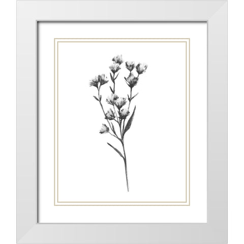 Wild Thistle III White Modern Wood Framed Art Print with Double Matting by Scarvey, Emma