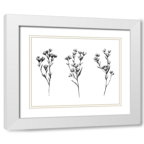 Wild Thistle V White Modern Wood Framed Art Print with Double Matting by Scarvey, Emma