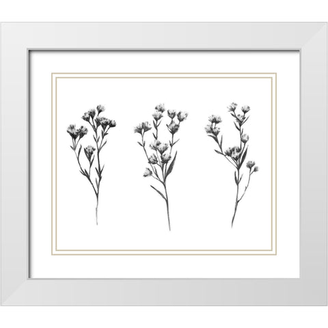 Wild Thistle V White Modern Wood Framed Art Print with Double Matting by Scarvey, Emma