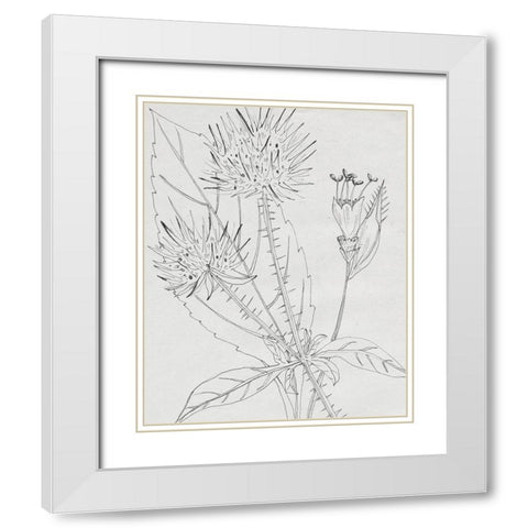 Wild Blossoms I White Modern Wood Framed Art Print with Double Matting by Wang, Melissa