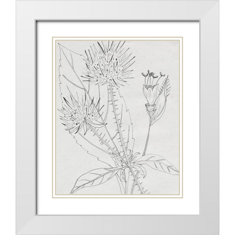 Wild Blossoms I White Modern Wood Framed Art Print with Double Matting by Wang, Melissa