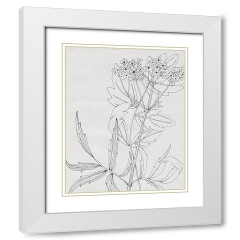 Wild Blossoms II White Modern Wood Framed Art Print with Double Matting by Wang, Melissa