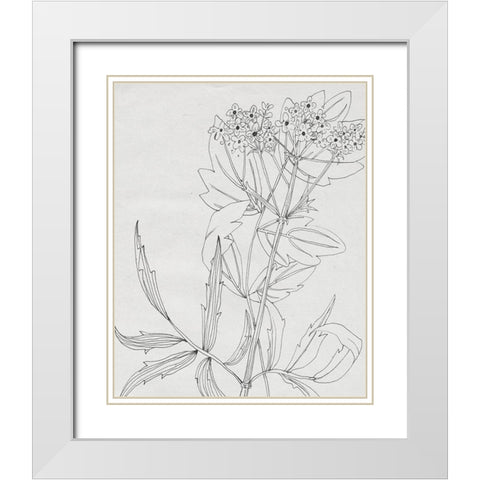 Wild Blossoms II White Modern Wood Framed Art Print with Double Matting by Wang, Melissa