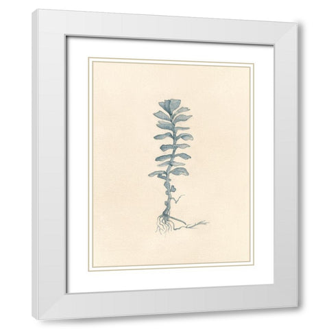 Uprooted I White Modern Wood Framed Art Print with Double Matting by Douglas, Jamie