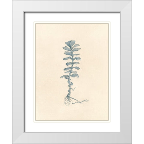 Uprooted I White Modern Wood Framed Art Print with Double Matting by Douglas, Jamie