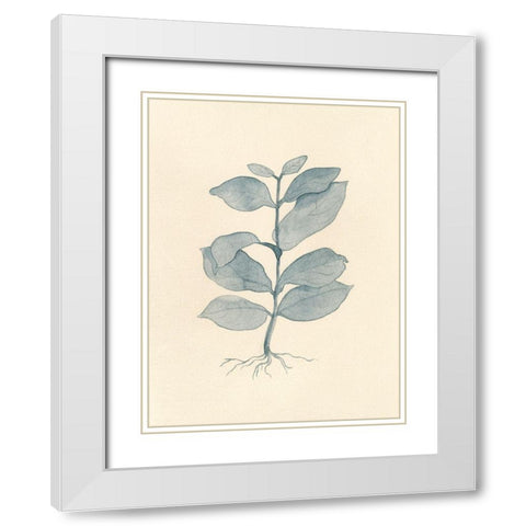 Uprooted II White Modern Wood Framed Art Print with Double Matting by Douglas, Jamie