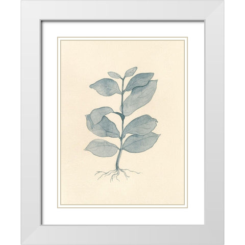 Uprooted II White Modern Wood Framed Art Print with Double Matting by Douglas, Jamie