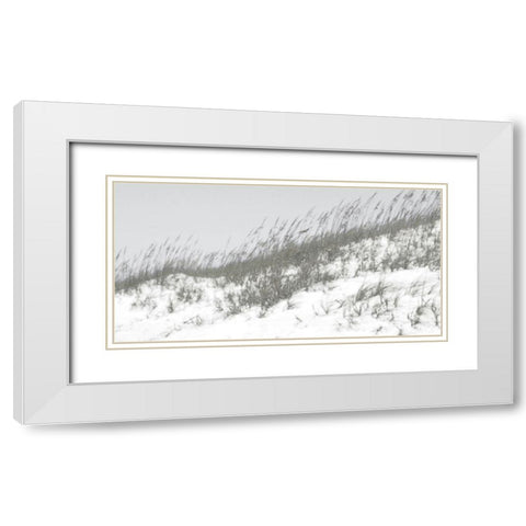 Lush Dunes I White Modern Wood Framed Art Print with Double Matting by Chandler, Sharon