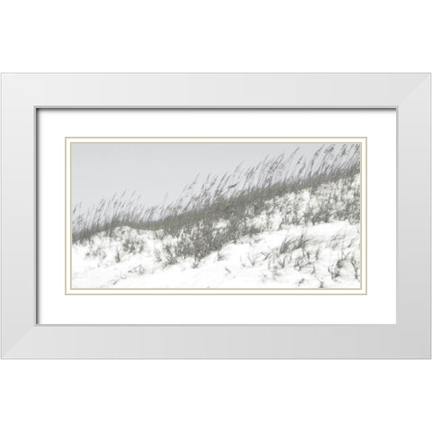 Lush Dunes I White Modern Wood Framed Art Print with Double Matting by Chandler, Sharon