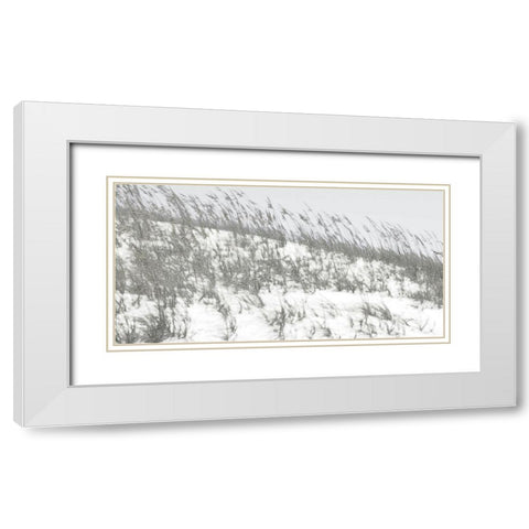 Lush Dunes II White Modern Wood Framed Art Print with Double Matting by Chandler, Sharon