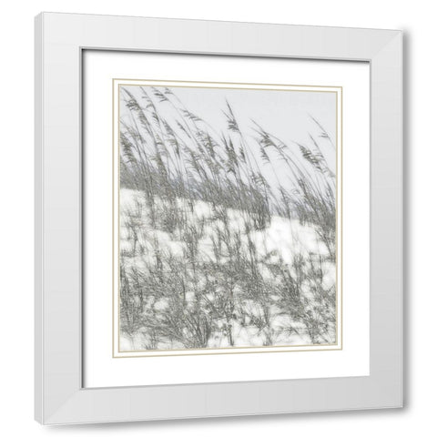 Lush Dunes III White Modern Wood Framed Art Print with Double Matting by Chandler, Sharon