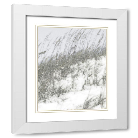 Lush Dunes IV White Modern Wood Framed Art Print with Double Matting by Chandler, Sharon